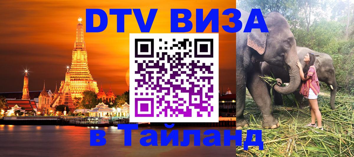 Оформление DTV визы под ключ: стоимость и тарифы, только загранпаспорт - 